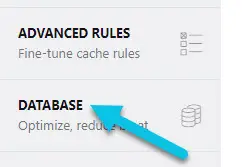 Cómo optimizar la base de datos con WP Rocket en WordPress