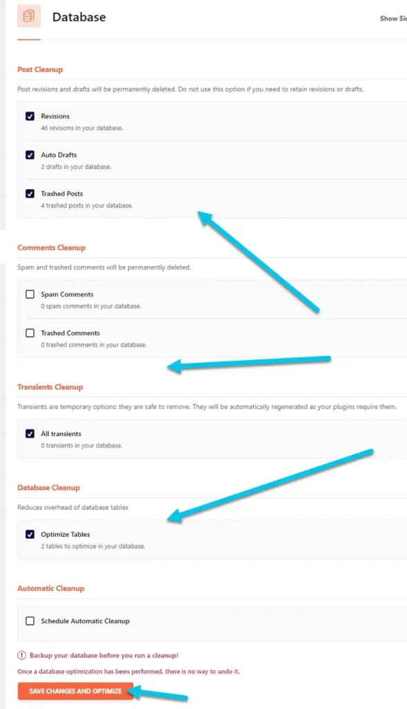 Cómo optimizar la base de datos con WP Rocket en WordPress