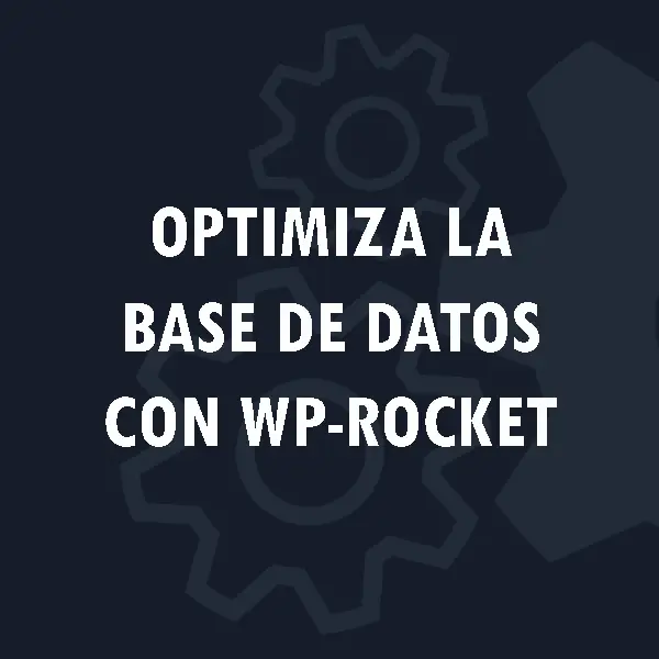 Cómo optimizar la base de datos de WordPress con WP Rocket